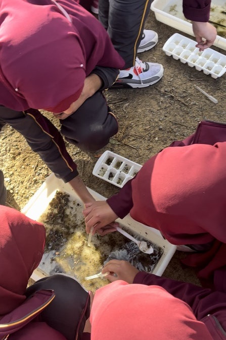 Year 6G Excursion: Wildlife Sanctuary